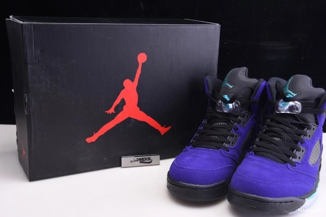 Rep TBkick Air Jordan Alternate Retro 136027-500 5 Grape 0806